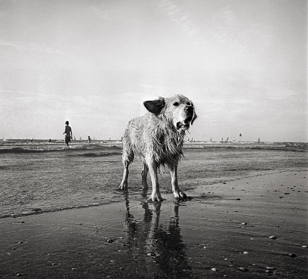 1992 Scheveningen, Holland