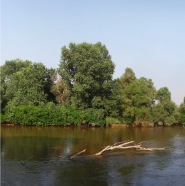 Evros_Fluss_Panorama