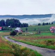 krzywa