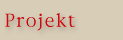Projekt